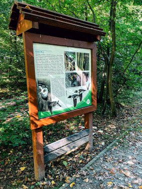 Polonya, Katy Wroclawskie 'de vahşi yaşam ile canlı bir çayır yolu.