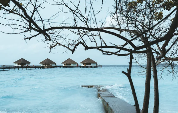 Wide Angle Shot Maldivian Villa Overwater Bungalows Background Foreground Tree — Stock Photo, Image
