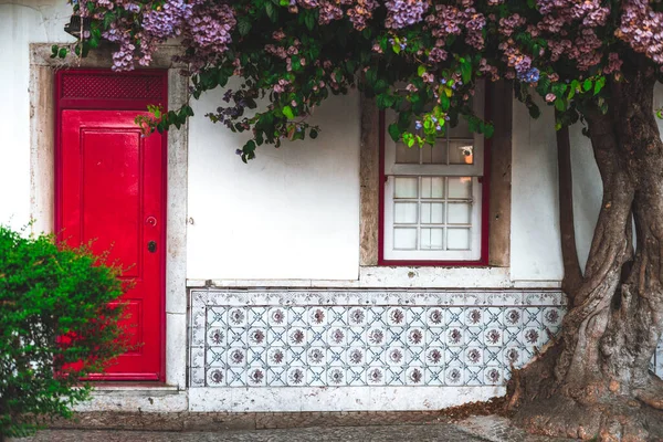 A capture of a house facade with painted tin-glazed ceramic tiles with flowers, a vertical window with a red window border, and a wooden red of a residential building in Lisbon and a blossom tree