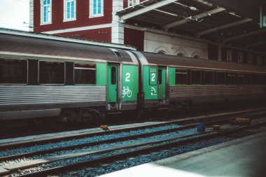 Shot of a train carriage, the door intended for bicycle carriers is marked in green, contrasting with the gray color of the rest of the train that stopped at a train station