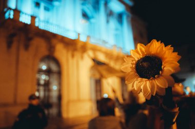 Lisbon, Portugal - February 24, 2023: A sunflower, a symbol of hope and resilience, is in a selective focus at an anti-war protest at night marking the one-year anniversary of the conflict in Ukraine
