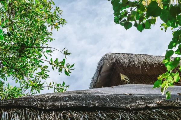 Komplexní Detail Tradiční Doškovou Střechou Maledivského Turistického Obydlí Pořízen Zblízka — Stock fotografie