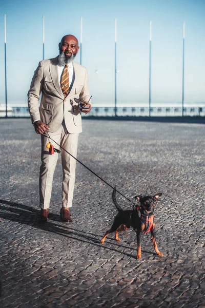 Vertical shot of a bald black man with a beard walking his dog on Lisbon\'s cobblestone pavement. Holds the leash in one hand and his sunglasses in the other, wearing a stylish suit and a colorful tie