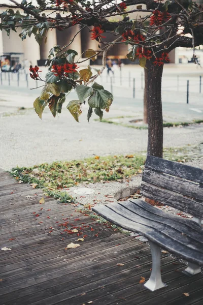 Mělká Hloubka Zachycení Pole Lisabonu Selektivní Zaměření Ošlehanou Dřevěnou Lavičku — Stock fotografie
