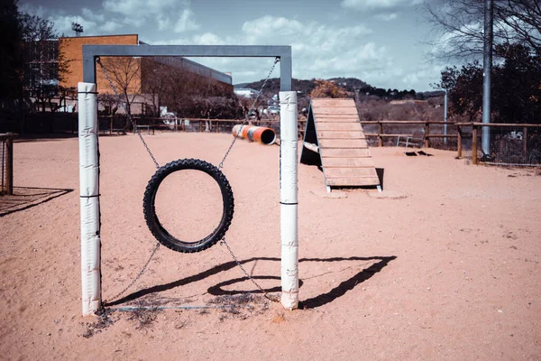 A dog play area in urban settings on a sunny day with a selective focus on a jumping ring on the sand; a dog slide and tube in a defocused background; a copy space area on the right for an advert text