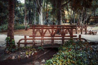 Yosun kaplı bir köprünün, yemyeşil bir parktaki huzurlu bir dereyi geçişinin kırsal bir görüntüsü. Yeşillik ve antik ağaçlar tarafından çerçevelenmiş bu sakin patika doğaya doğru barışçıl bir kaçışı temsil ediyor.