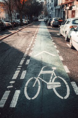 Sabah güneşinin altında park halindeki araba ve ağaçların oluşturduğu beyaz bisiklet yolu işaretli dikey çekim. Kentsel bisiklet altyapısı