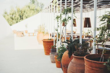 Çeşitli bitkilerle dolu terracotta tencereleri, ahşap kirişli bir pergola altında beyaz bir bahçe alanı çiziyor. Sahnede arka planda açık hava yemeği için hazırlanan masalar ve sandalyeler yer alıyor.