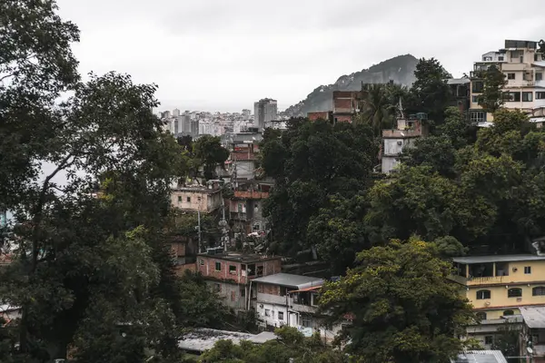 stock image Dense forest surrounds hillside favela dwellings in Rio de Janeiro, overlooking the cityscape with high-rise buildings in the distance. A mix of urban and natural landscapes under overcast skies