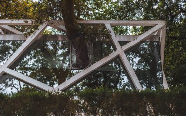 Çelik ve cam çerçeveye uzanan dalları ile modern mimariye entegre edilmiş büyük bir ağaç. Benzersiz tasarım, ağacın yapı içinde özgürce büyümesini sağlar.