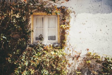 Büyüleyici eski pencereler, taşla çerçevelenmiş dantelli perdeler ve solgun, yıpranmış beyaz bir duvarın üzerindeki sarmaşıklarla çevrili Aldeia da Mata Pequena 'da, sağda geniş bir kopya alanı var.