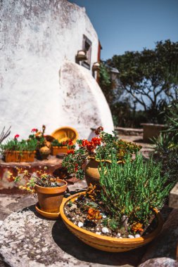 Aldeia da Mata Pequena 'nın geleneksel köyünde, parlak Akdeniz güneş ışığıyla yıkanmış, kırmızı çiçekli ve sulu taştan bir yüzeye yerleştirilmiş renkli terasotta kapları.