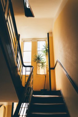 Ahşap parmaklıkları ve sarı duvarları olan güneş ışığıyla aydınlatılmış merdivenler, yüksek pencereli ve saksı gibi bir palmiye bitkisi olan bir yere çıkıyor, sıcak ve davetkar bir retro ortam yaratıyor.