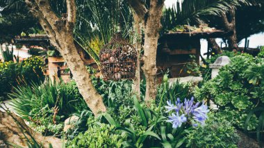 Yeşil yapraklar ve çiçek açan çiçeklerle çevrili, iki ağacın arasına asılmış çam kozalaklarıyla dolu paslı kuş kafesi ile dolu verimli bir bahçe sahnesi. Seçici odak önplanı