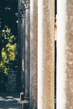 Yumuşak güneş ışığı altındaki bir sıra yıpranmış taş sütunun dikey telefoto görüntüsü. Doku ve formu vurgulamak için sığ alan derinliği ile yakalanan, tarihsel atmosferde klasik mimariyi çağrıştıran.