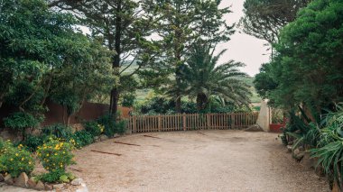 Uzak bir kırsal bölgedeki tenha çakıl park alanı, verimli tropikal bitki örtüsü, yüksek ağaçlar ve ahşap bir çit ile çevrili, huzurlu ve doğal bir ortam yaratıyor.