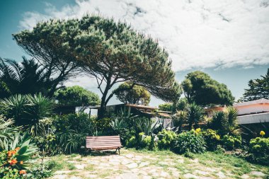 Bereketli egzotik yeşillik, uzun Akdeniz çam ağaçları, kırsal ahşap bir bank ve bulutlu gökyüzünün altında büyüleyici kulübeler, Portekiz, Cascais 'te geniş açılı yakalanmış.