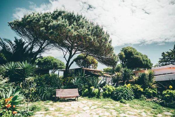 Bereketli egzotik yeşillik, uzun Akdeniz çam ağaçları, kırsal ahşap bir bank ve bulutlu gökyüzünün altında büyüleyici kulübeler, Portekiz, Cascais 'te geniş açılı yakalanmış.