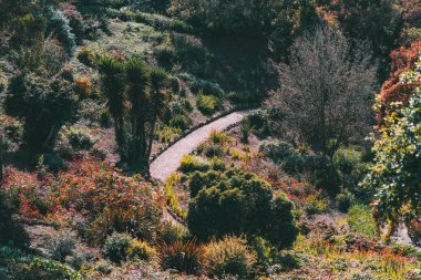 Portekiz, Sintra 'da canlı bitki örtüsü boyunca kıvrılan kıvrımlı bahçe yolu çeşitli bitkiler, tropikal ağaçlar ve ılık doğal ışıkta renkli mevsimlik yapraklarla çevrili.