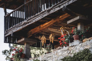 Asturias 'ta, kırmızı sardunyalar ve saksılarla çevrili, yumuşak doğal ışıkta, yumuşak bir terasta, Asturias' ın geleneksel, ahşap bir balkonunda, mısırlar çatıda sallanıyor.