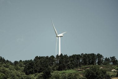 Açık bir günde yoğun yeşil bir ormanın üzerinde yükselen büyük beyaz rüzgar türbini, temiz enerjiyi, sürdürülebilirliği ve modern yenilenebilir teknolojinin doğal ortamlara entegrasyonunu sembolize ediyor.