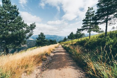Güneşli bir dağ manzarasında dolanan manzaralı toprak yol, uzun kuru otlar ve çam ağaçlarıyla çevrili, parçalı bulutlu mavi gökyüzünün altındaki panoramik tepelerin manzarası