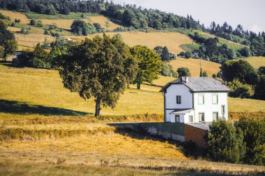 Beyaz duvarlı ve yeşil aksanlı ıssız bir kır evi. Etrafı altın yaz tarlalarıyla çevrili. Yuvarlanan tepeler ve dağınık ağaçlarla çevrili.