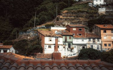 Martı, İspanya 'nın Cudillero kentindeki renkli yamaçlara bakan çatı bacasına tünemiş. Kırsal mimarisi ve yemyeşil yemyeşil büyüleyici sahil köyü manzarası.