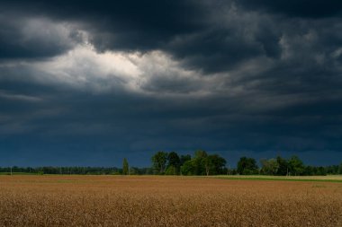 Tarlaların üzerinde kara fırtına bulutları