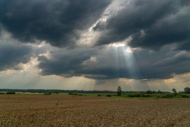 Koyu bulutlar yeşil alanda