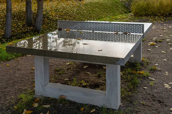 stone table in the park for playing tennis