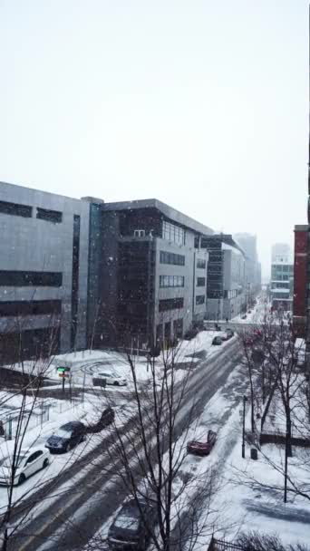 Poznaj Urocze Zimowe Piękno Montrealu Jako Koc Płatków Śniegu Przechwytywanie — Wideo stockowe