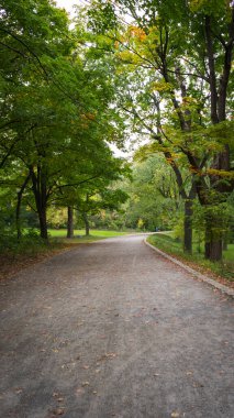 Parkın güzel manzarası