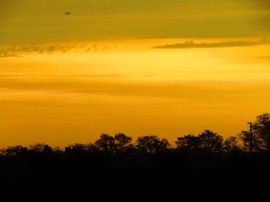 Gün doğumuna siluetler makro eşlik eder.