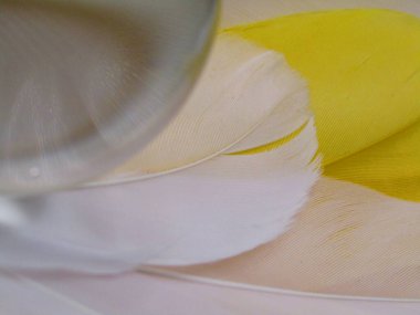 Beyaz ve sarı kaz tüyü mercek topuyla yakın çekim..