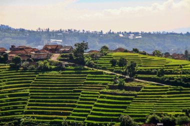 Sumedang, Batı Java, Endonezya 'da mavi gökyüzü olan dağ manzarası
