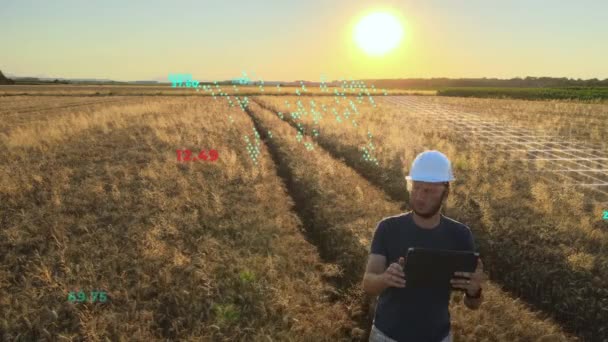 Анимация Карты Мира Сканированием Пшеничного Поля Умная Точная Сельскохозяйственная Концепция — стоковое видео