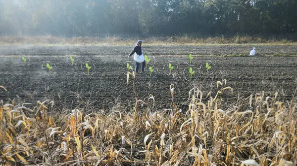 Органический Фермер Разбрасывает Семена Полю Появляются Цифровые Символы Растений Экологическое — стоковое фото