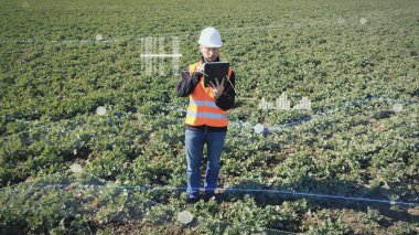 Modern akıllı tarım çiftçiliği. Agronomist çiftçi üretim ve tarım araştırmalarında IOT 'nin uygulaması ve interneti kullanarak dijital tablet bilgisayarla grafik verilerini kontrol ediyor.