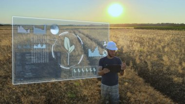 Akıllı hassas tarım endüstriyel devrim kavramı, mühendis gün batımında buğday tarlasında hasat istatistiklerinin grafiklerini analiz eden bir tablet üzerinde çalışıyor.