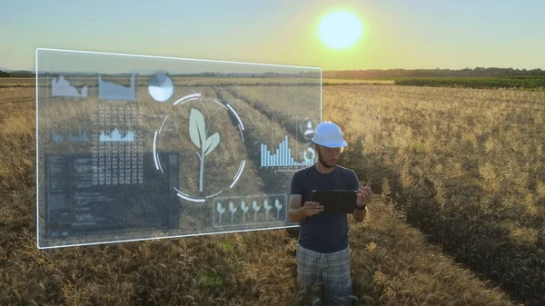 Smart precision farm industrial revolution concept, engineer work on a tablet analysing the graphics statistics of Harvester production in a wheat grain field during sunset