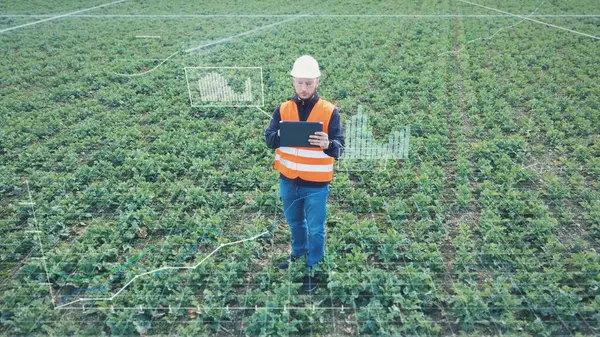 Agriculture scientist doing on site research and collecting data. Smart precise farming