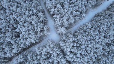 Karlı bir ormanın ortasındaki kavşaklar, yukarıdan aşağıya bakan hava manzarası.