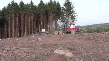 Ormansız bir bölgede ağır makineler çalışıyor. Araziyi temizliyor ve ağaç kütüklerini kaldırıyor. Ormanlar üzerindeki endüstriyel etkiyi temsil ediyor.