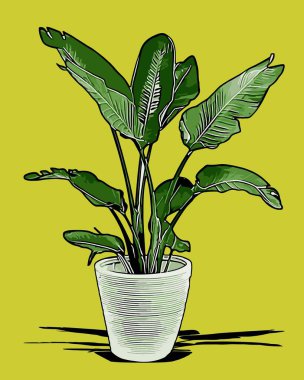  Grafik tasarımı için yaprak vektör şablonu 