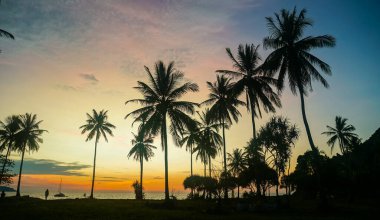 Güzel panoramik günbatımı tropik cennet plajı. Sakin bir yaz tatili ya da tatil manzarası. Tropik gün batımı plaj kıyısı palmiyesi sakin deniz manzarası egzotik doğa manzarası ilham verici deniz manzarası.