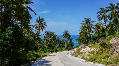 Koh Tao adası manzarası deniz manzarası ve Tayland 'daki Koh Tao adasındaki palmiye ağaçları.