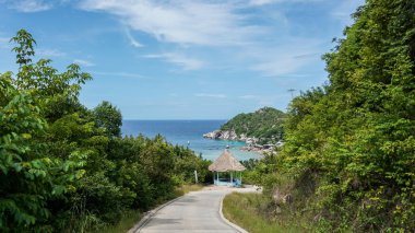 Koh Tao adası manzarası deniz manzarası ve Tayland 'daki Koh Tao adasındaki palmiye ağaçları.