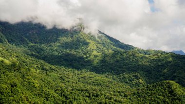 Güneşin doğuşu dağları, tepe ve güzel sis denizi Tayland 'ın Phetchabun Eyaleti' ndeki Khao Kho ormanını kaplıyor. Sis ve serin hava ile kaplı dağlarla çevrili güzel sis denizini görmek için bir yer..