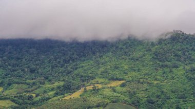 Güneşin doğuşu dağları, tepe ve güzel sis denizi Tayland 'ın Phetchabun Eyaleti' ndeki Khao Kho ormanını kaplıyor. Sis ve serin hava ile kaplı dağlarla çevrili güzel sis denizini görmek için bir yer..